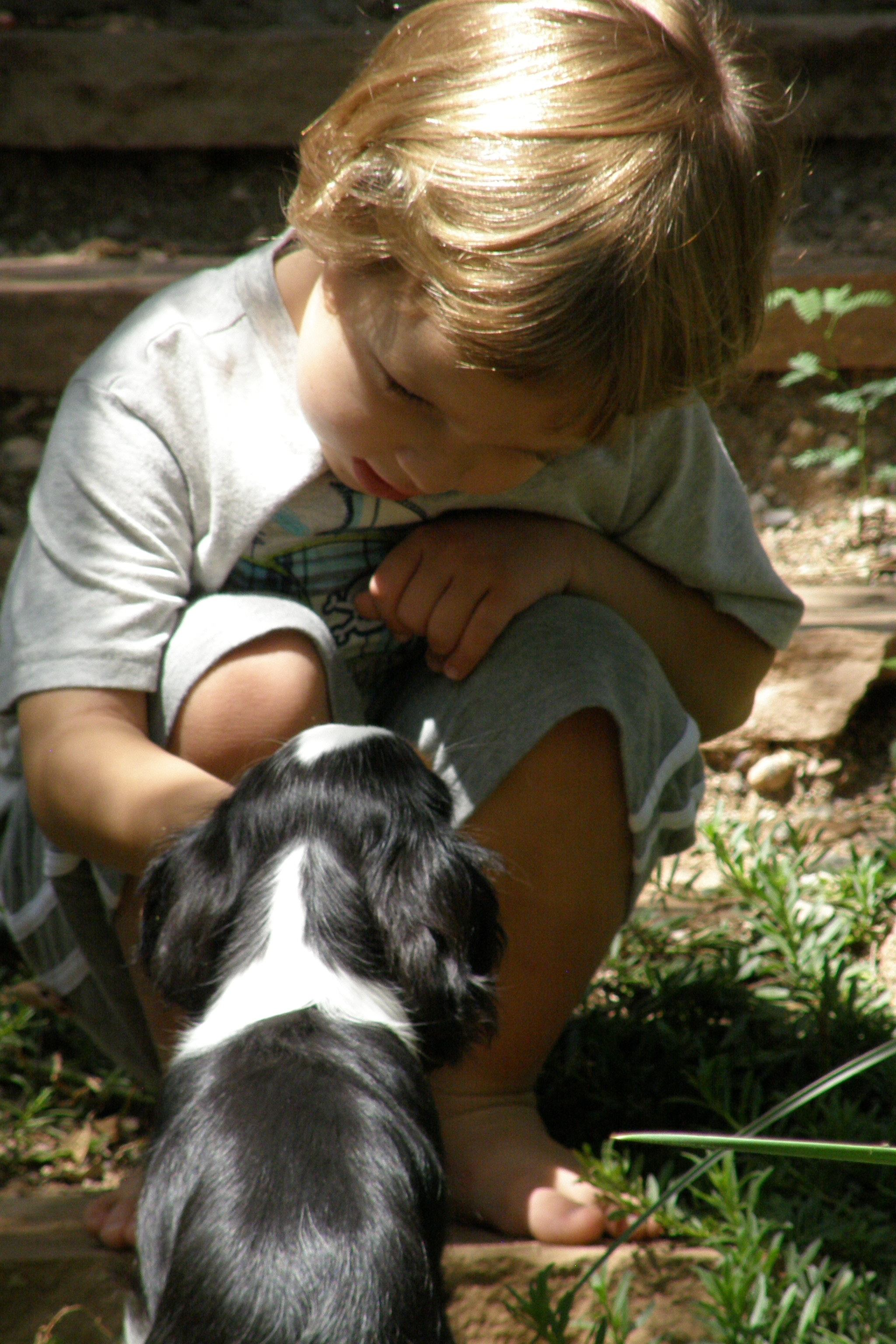 Bryce and cavalier king charles spaniel puppy